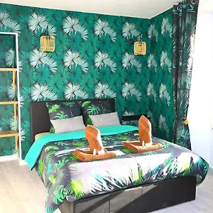 Class&tropical Appt 10mn Aeroport Roissy Cdg France